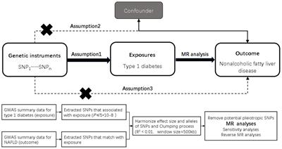 Type 1 diabetes mellitus and non-alcoholic fatty liver disease: a two-sample Mendelian randomization study